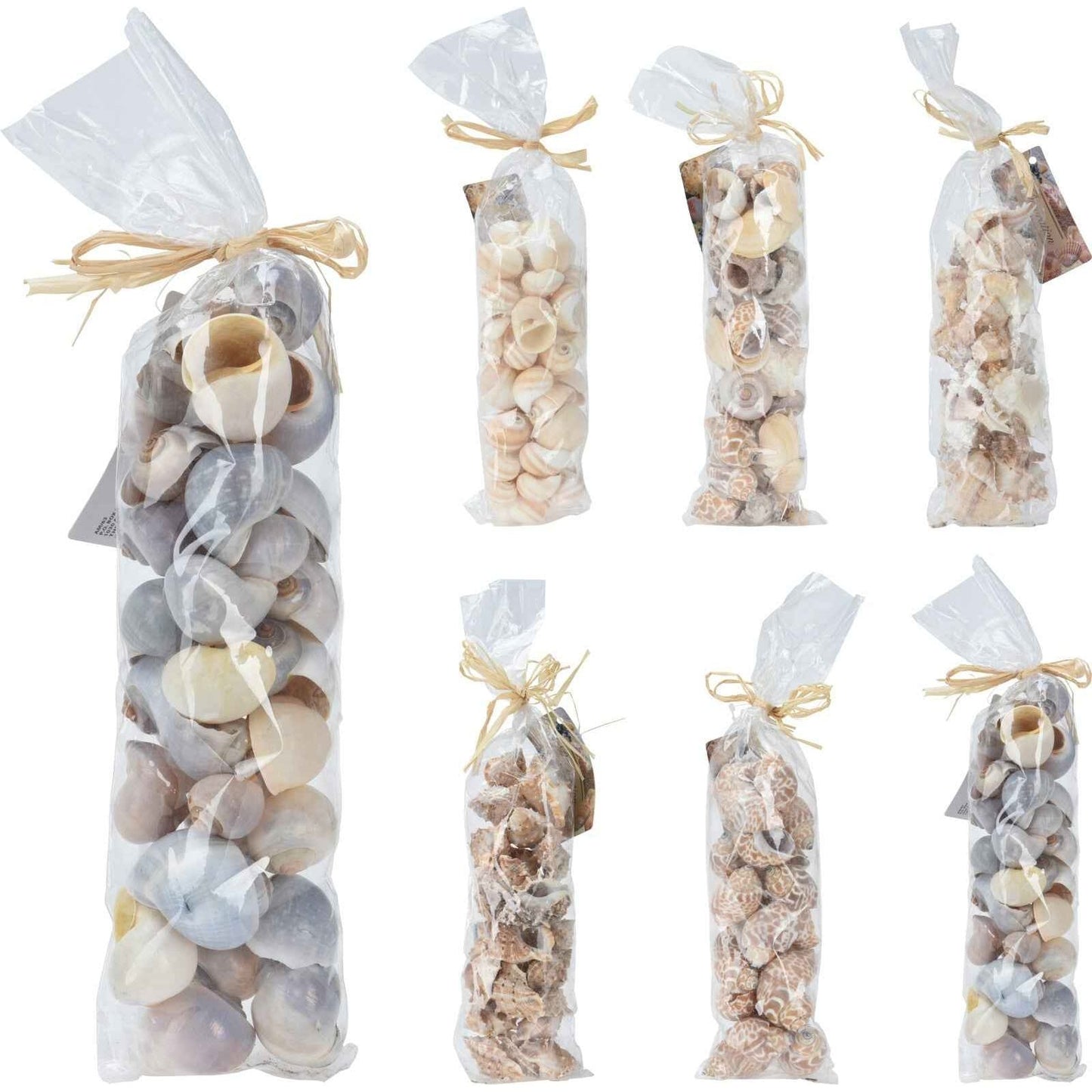 Dekorative Muscheln Farbmix - tinkie.de