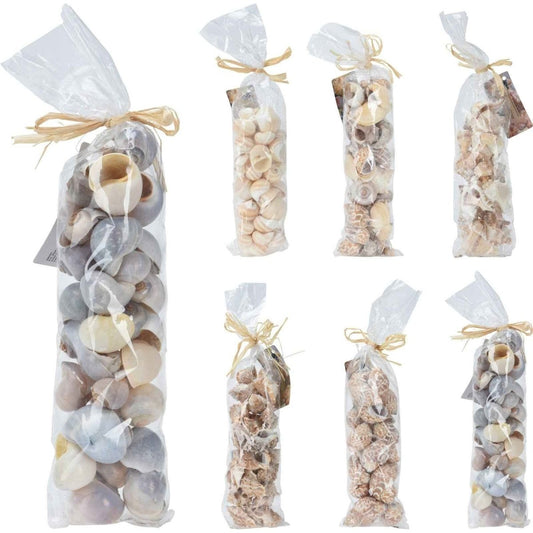 Dekorative Muscheln Farbmix - tinkie.de